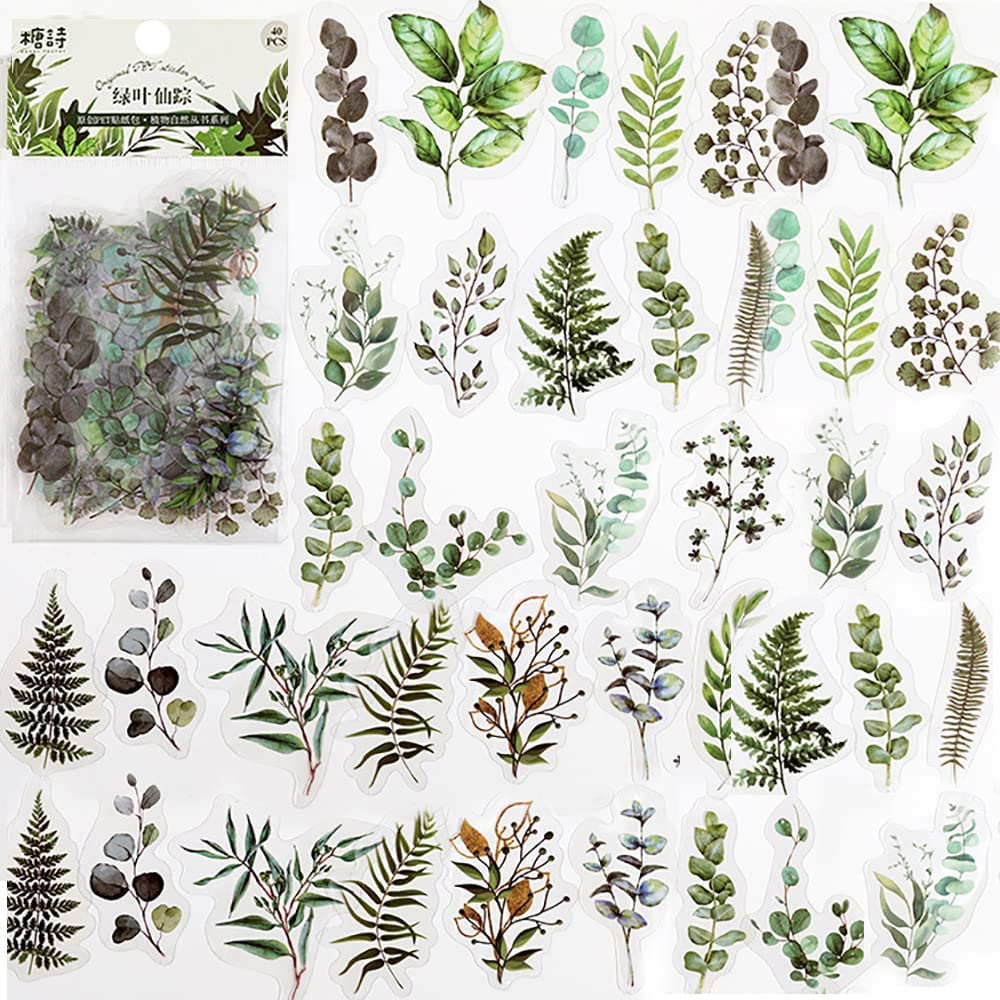40 Pcs 스크랩북 스티커 애완 동물 투명 꽃 자연  - Art Craft Journal 리뷰 및 가격